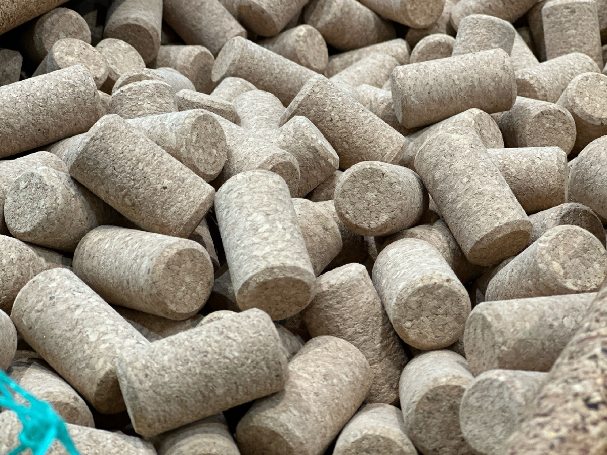 Фото: РБК Юг