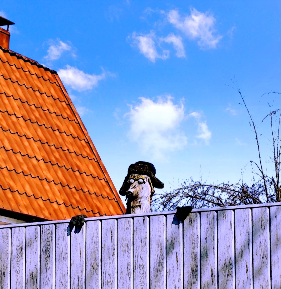 Из-за заборов на нас внимательно смотрели "чудики", вырезанные из старых стволов деревьев. 