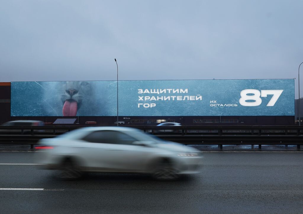 Санкт-Петербург, КАД 23 км