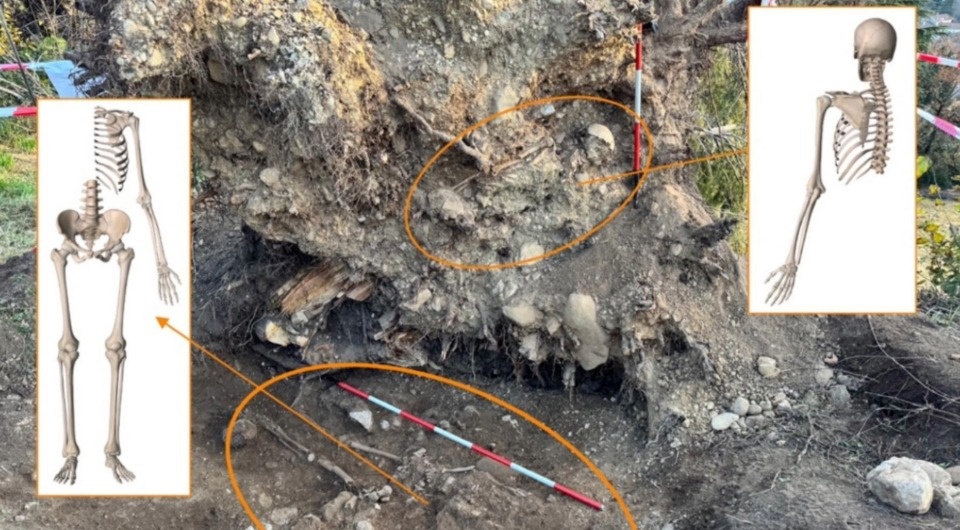   Dario Innocenti et al. / Legal Medicine, 2026