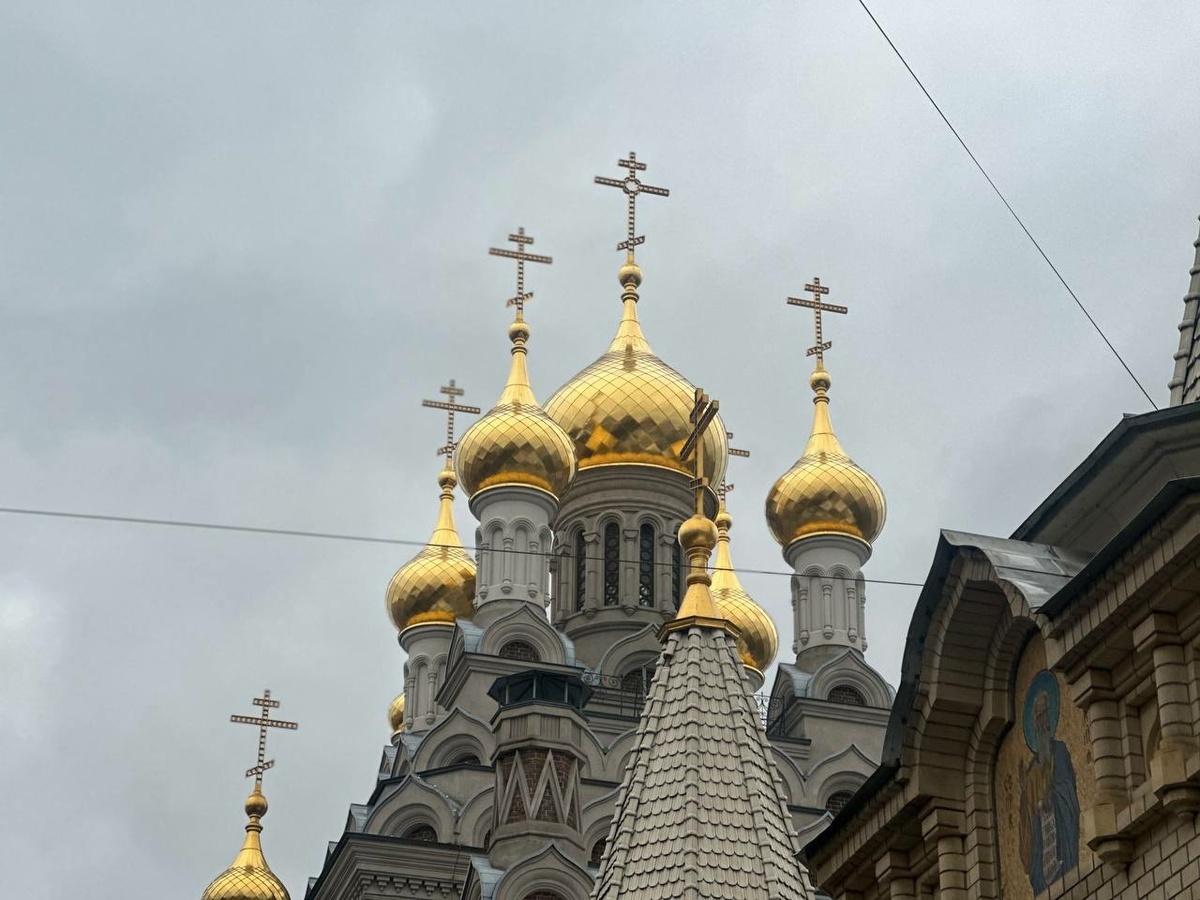    Фото: "Бриф24"