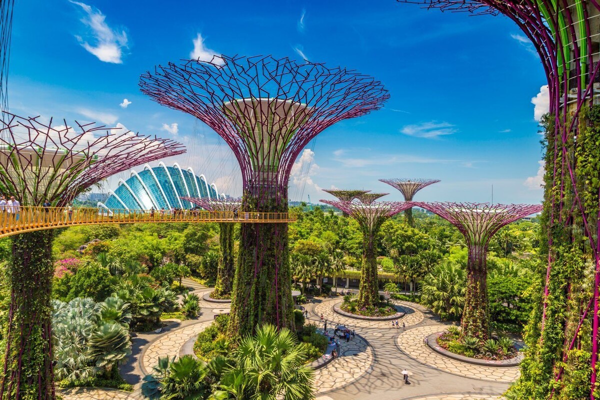 Супердеревья в "Садах у Залива" (Gardens by the Bay) Сингупур