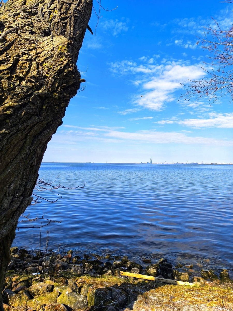 Фото: Анастасия Шумакова, https://vk.cc/cWYXDZ