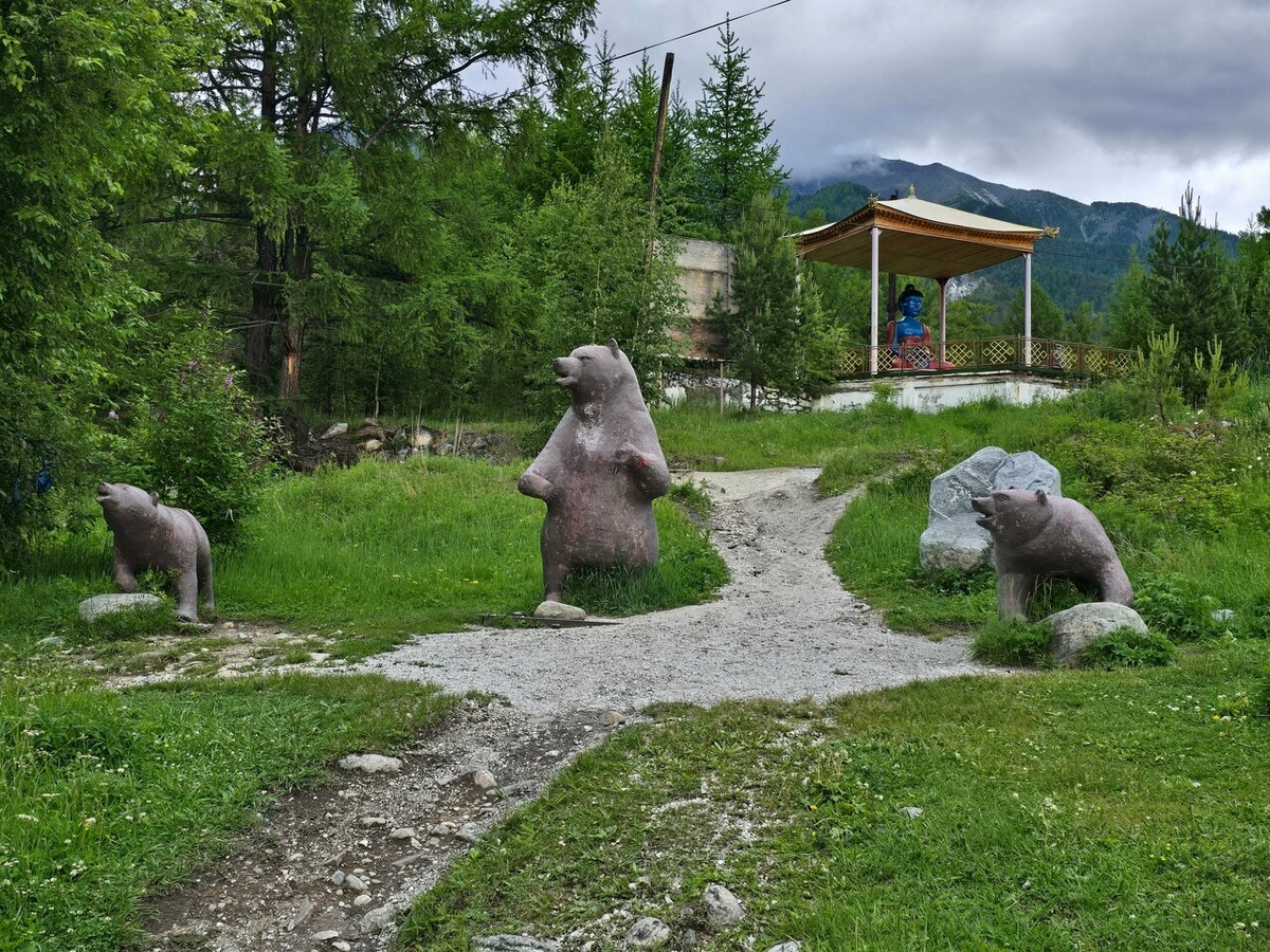 Поселок Аршан. Бурятия. Яндекс карты. Автор: Иван С.