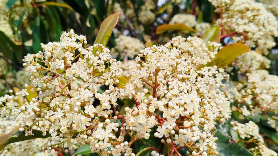 🌍 22 апреля — День Земли