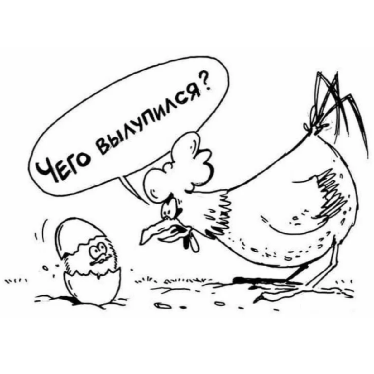 Картинка из интернета