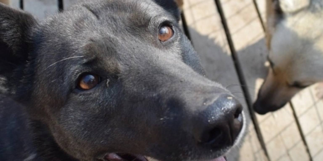 Волна доброты✨