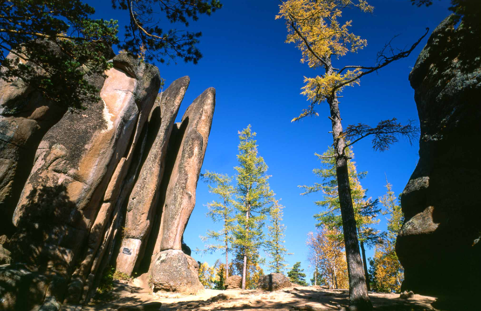 Заповедник «Столбы». Фото: globallookpress.com