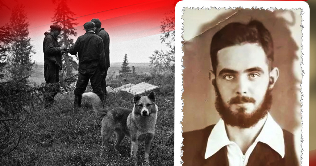 Как дворняга спасла лесорубов в тайге. Что произошло?