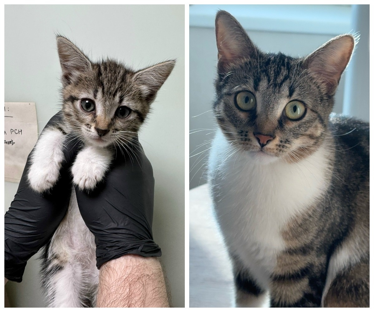 Зейтин – выпускница приюта.