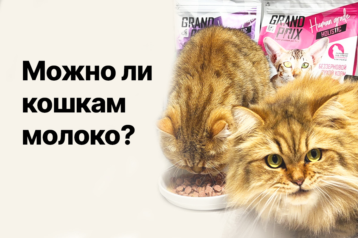 https://grand-prix.com.ru/