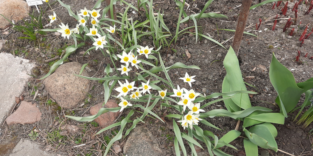 Дорожная, любовальная...