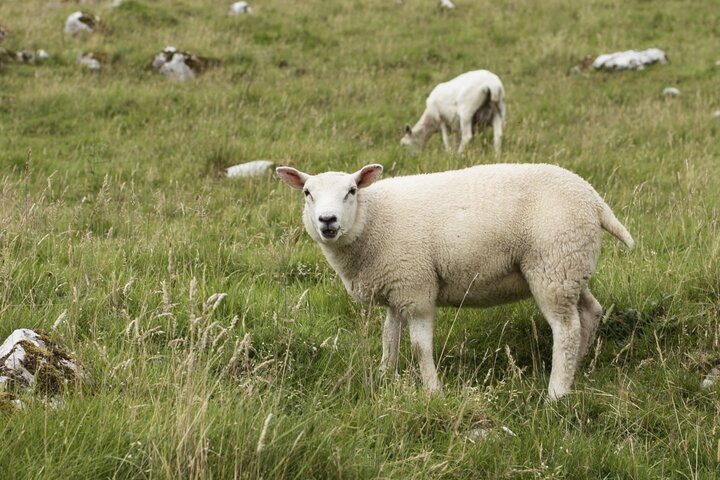 Фото: Freepik.com