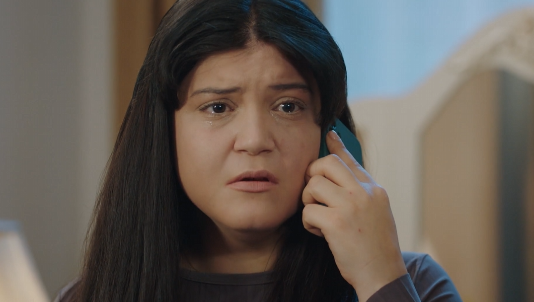 Кадр из сериала "Клюквенный щербет" 4 сезон 29 серия