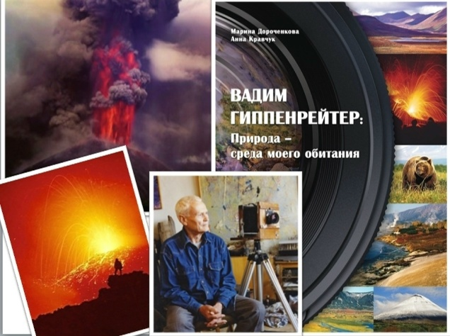 коллаж из фотографий книги