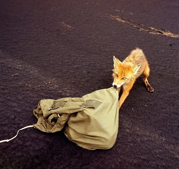 фотографии из книги