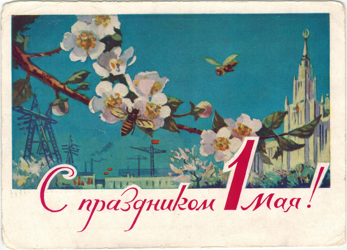 Почтовая открытка СССР, худ. Н. П. Чертенков, 1961 г.