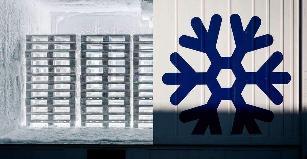 На рефперевозки спустили собак. «Холодная» логистика стонет от тарифов РЖД, утепления вагонов пенопластом и рентгеновских лучей