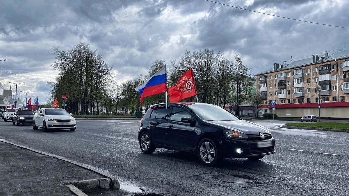 Фото: Волонтёрская Рота | Костромская область