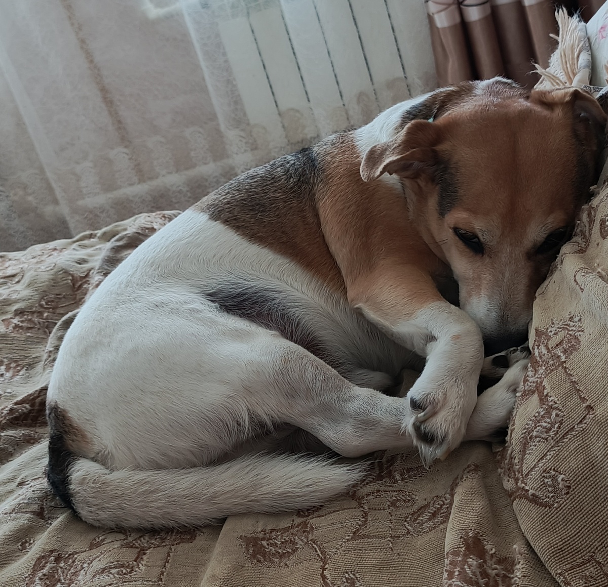 Фото автора статьи