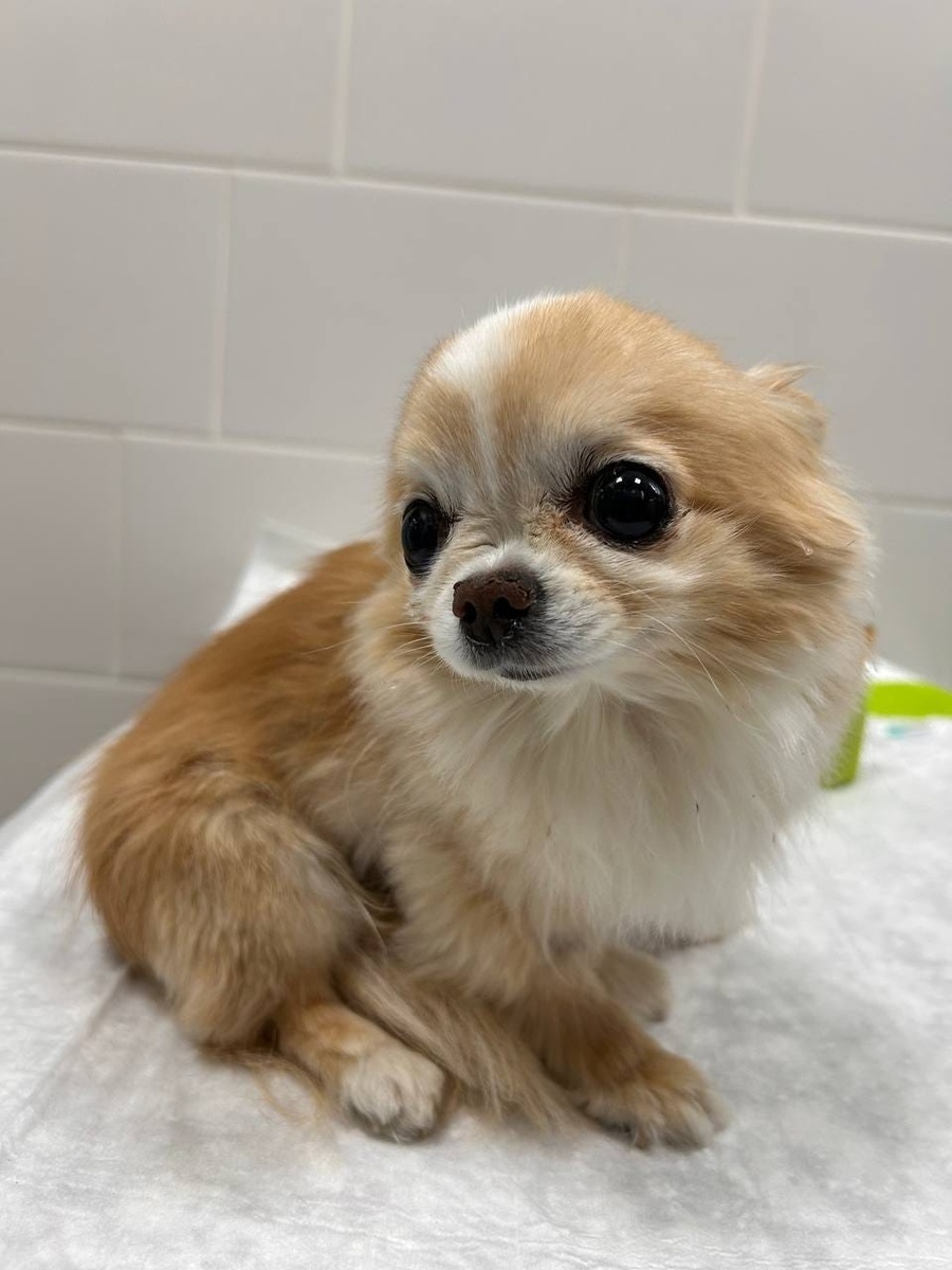 Создать карусель