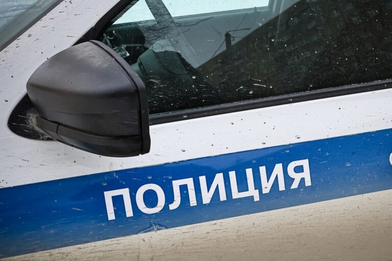    В Оренбурге пьяный иностранец пытался подкупить инспектора ДПС Оренбуржье