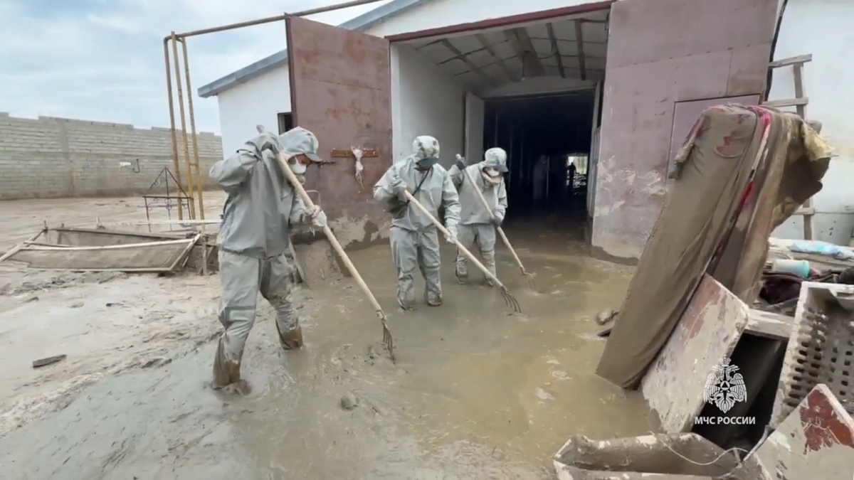    Фото: пресс-служба ГУ МЧС России