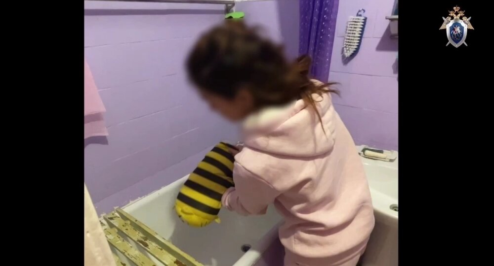 Моя нелегальная няня: в Санкт-Петербург завезли 400 нянь-мигранток