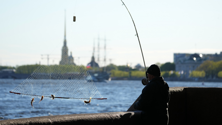    Фото: ИЗВЕСТИЯ/Дмитрий Коротаев; 5-tv.ru