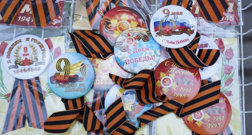    REGIONS/Дарина Левкина