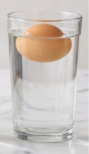 Как проверить свежесть яиц, почему врут магазины и где живёт сальмонелла