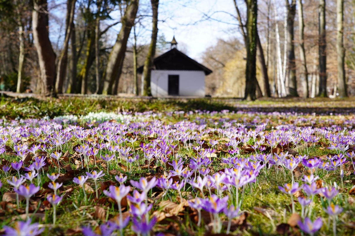 Источник: Liudmila Kiermeier / Shutterstock / FOTODOM