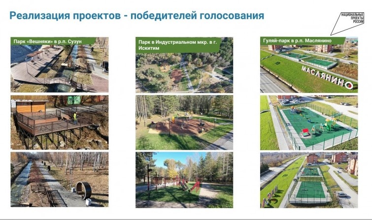 Новосибирцев призвали принять участие в субботнике и «зелёном голосовании»