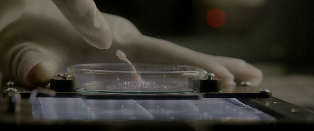 Первое знакомство