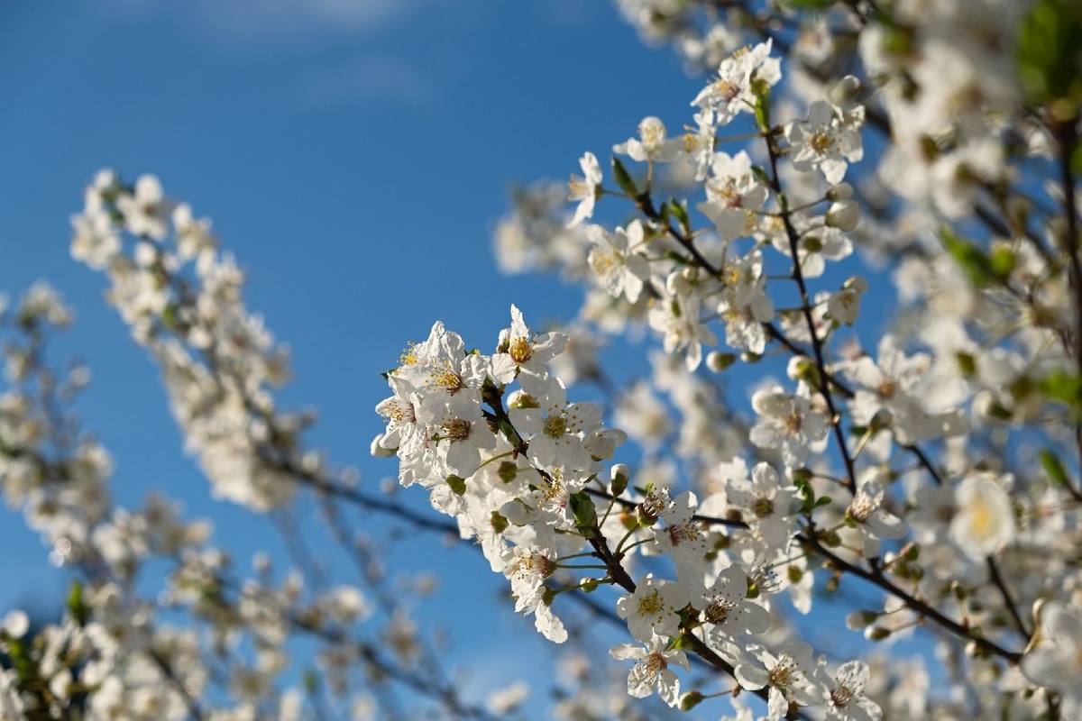    Фото: iStock/Anna Pismenskova