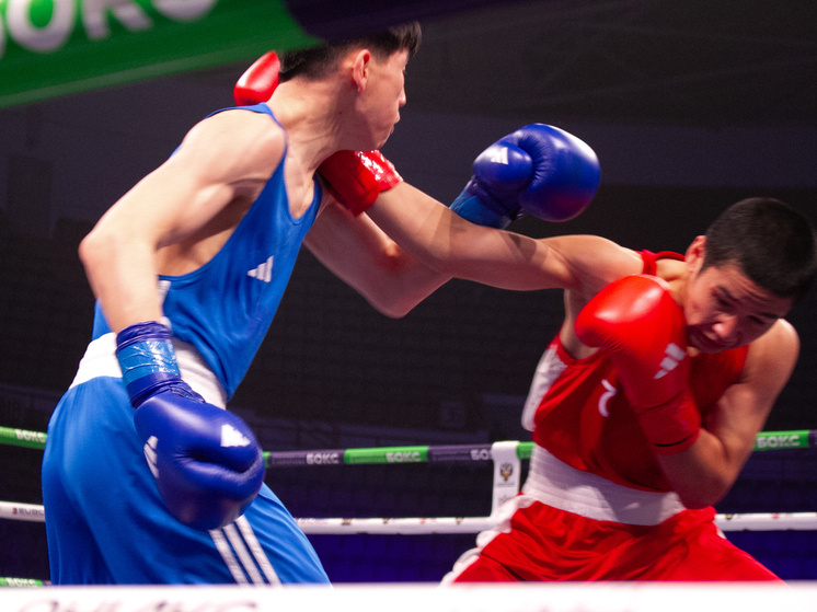     В Хабаровске стартовал международный турнир по боксу памяти Героя Советского Союза Константина Короткова / Борис Кокурин