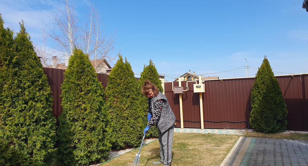 Как избавиться от мха на газоне? Прежде чем тратить деньги на дорогие препараты, попробуйте использовать древесную золу