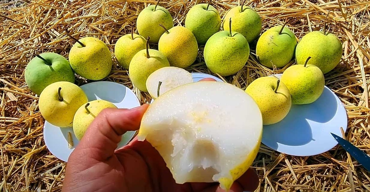 Фотография из интернета