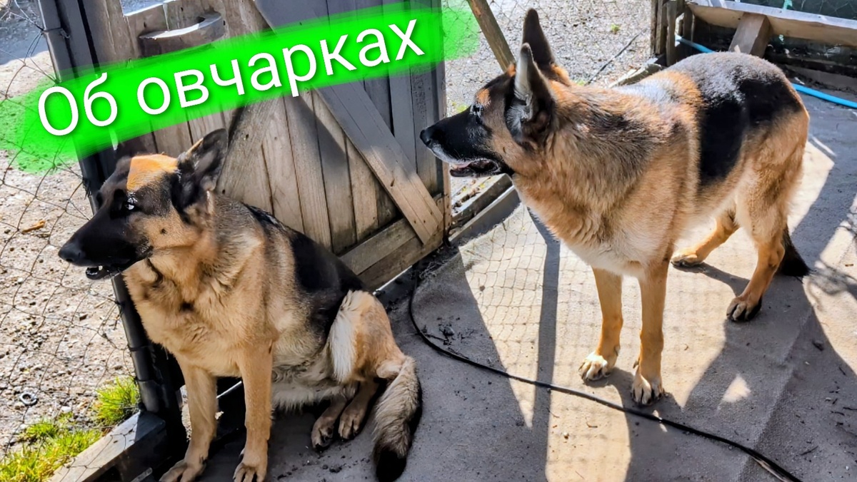 Альма и Ральф 