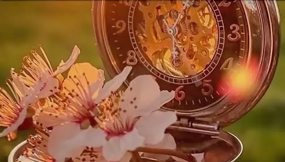 картинка Яндекс