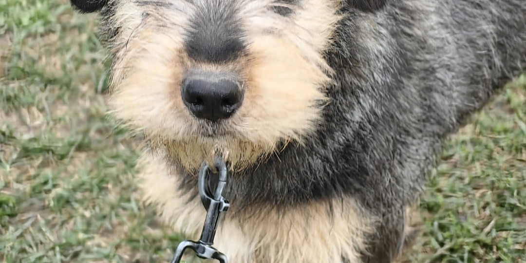 Жертва разведенцев: красивая, молодая, а никому не нужна