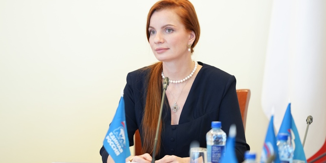 Как масштабировать личный опыт. Член Общественной палаты уговорила депутатов Вологодского Закса защитить беременных женщин