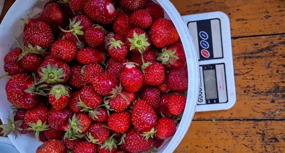    REGIONS/Юлия Габбасова