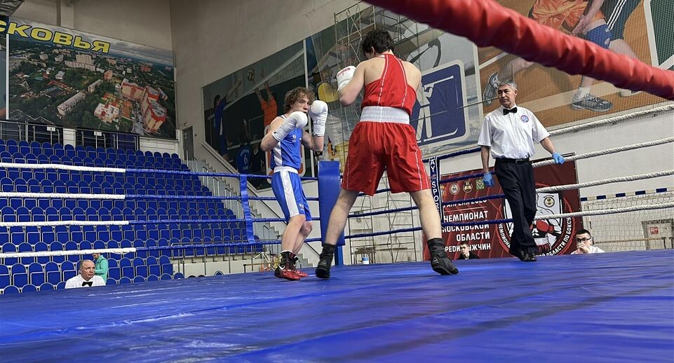    Кристина Тришина