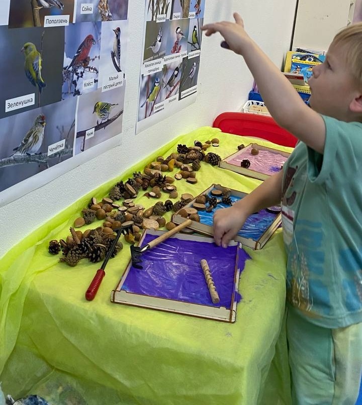 Изучение темы "Птицы" на занятии в семейном пространстве "Дом Гнома"
