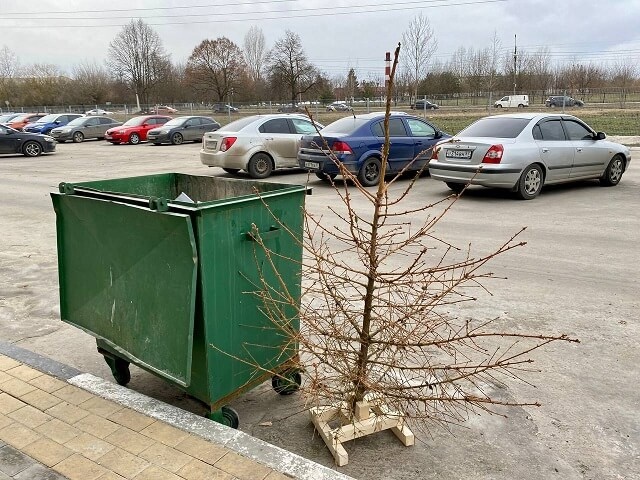    ИА “Орелград”
