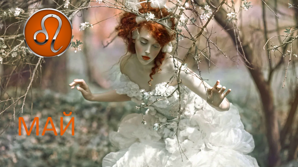 Лев в мае. Фотохудожник Agnieszka Lorek