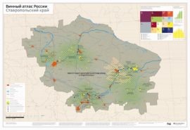    Фото: Ассоциация виноградарей и виноделов России Елена Гаврина