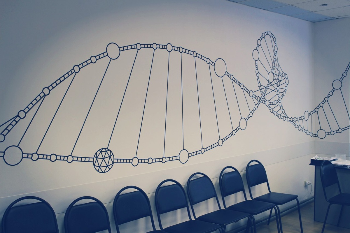 Роспись ДНК в офисе компании