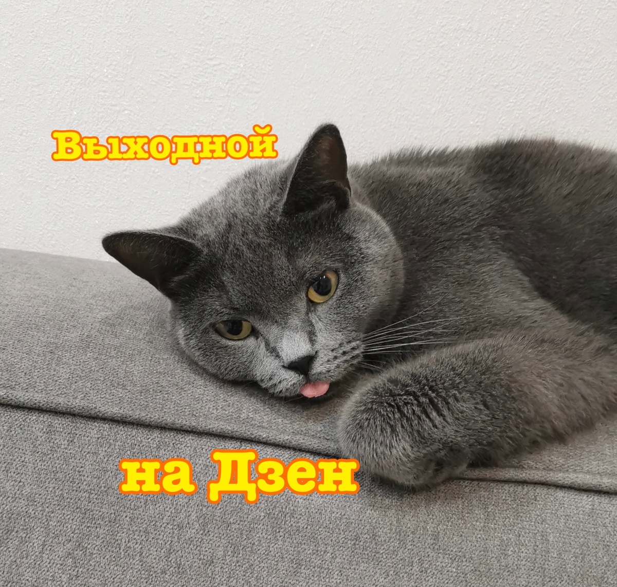 Симон - южный.